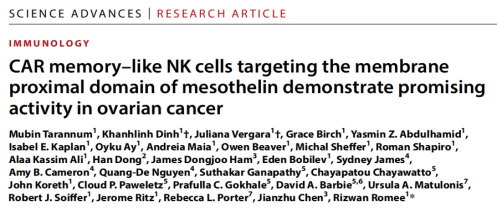 靶向间皮素的CAR记忆样NK细胞：卵巢癌治疗的新希望